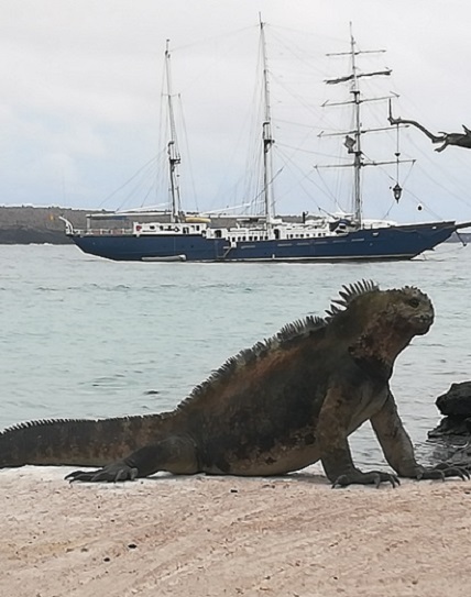 Galapagos Deaf tours