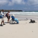 Off road chair to Galapagos beach