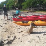 Accessible kayak Galapagos tours