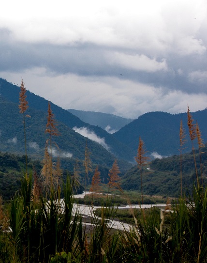 Ecuador sign language tours