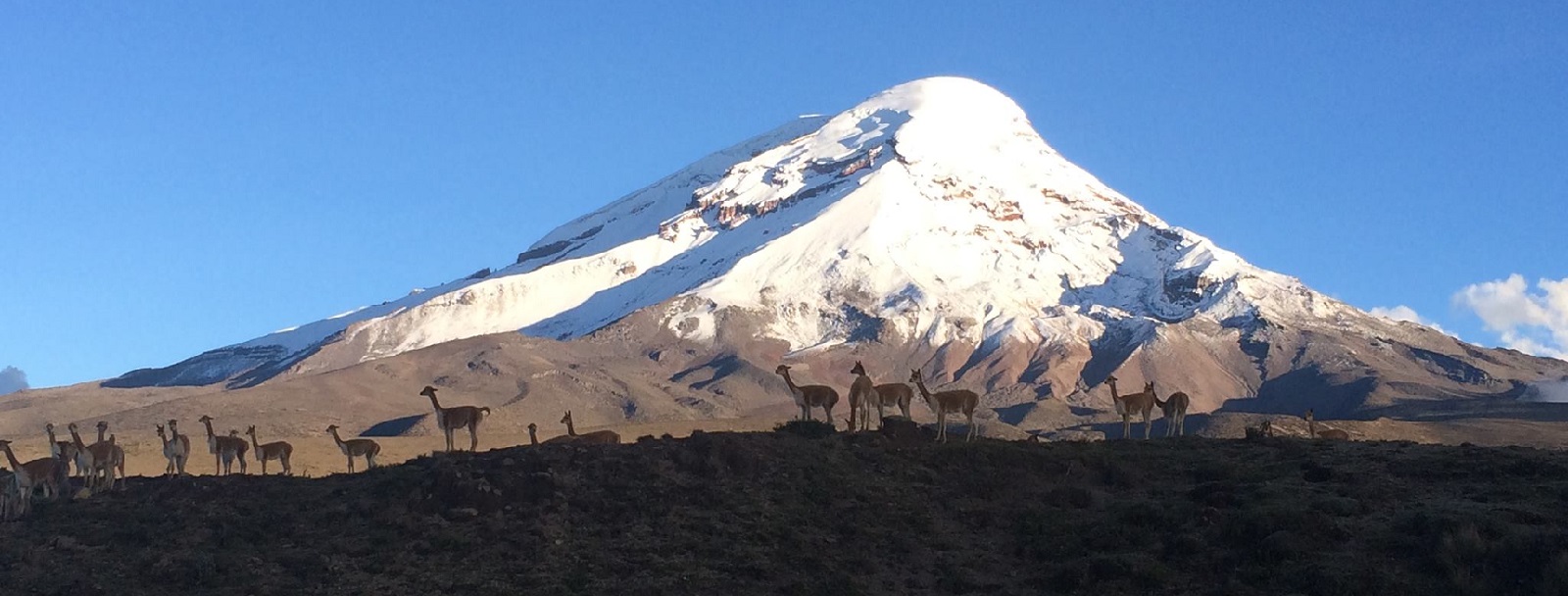 Ecuador Accessible Tours