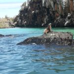 Accessible Galapagos tours Iguanza at Santa Cruz