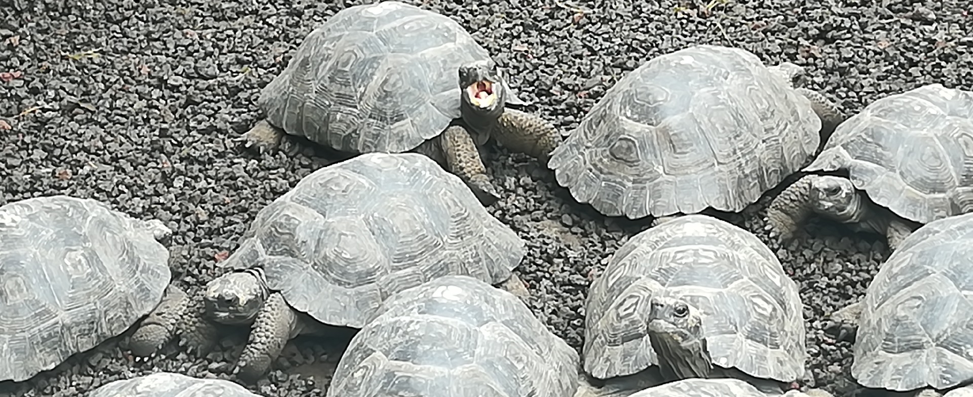 Accessible tours galapagos